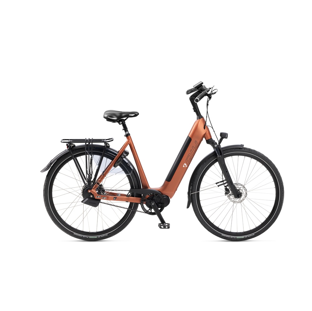 RIH Delta Automatiq RIH Delta Automatiq