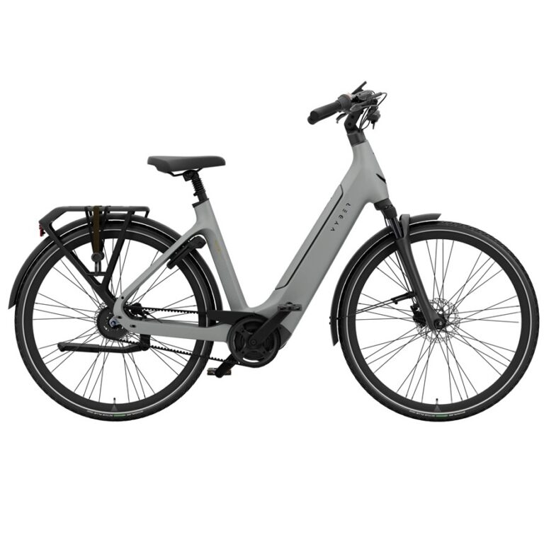 vyber excite lunar grey